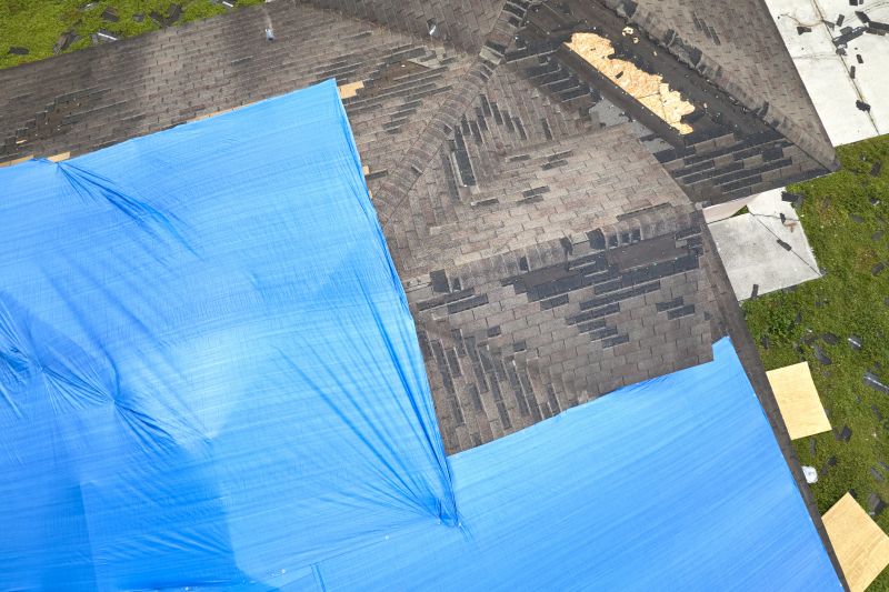 Roof Tarping